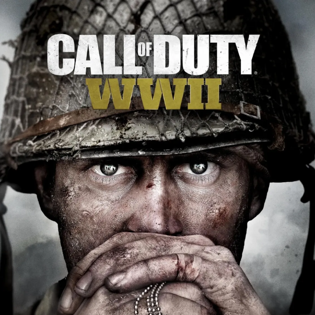 CALL OF DUTY WORLD WAR 2 (INGLÉS)